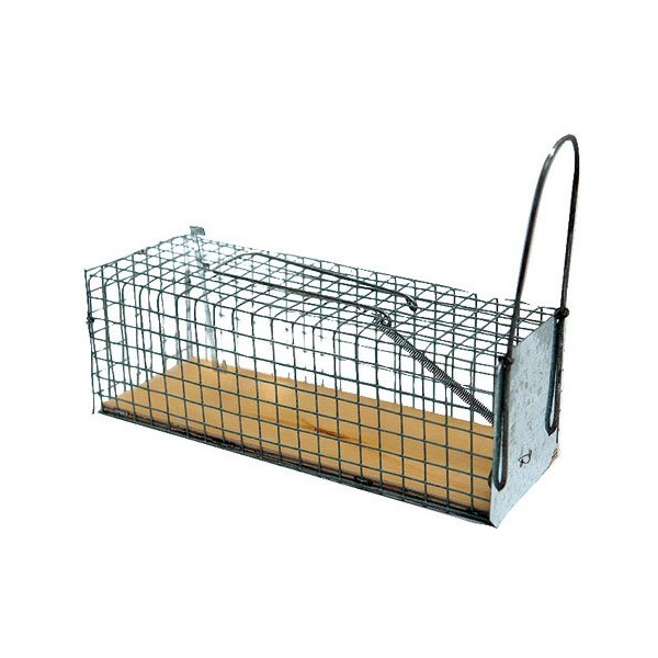 MASY - Nasse à rats 1 entrée socle en bois