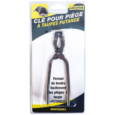 CLE PIEGE A TAUPE PUTANGE SC    142