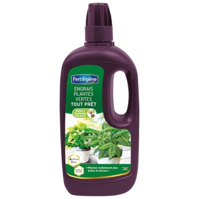 ENGRAIS PLANTES VERTES TOUT PRET 1L/NC (Vendu par 1)