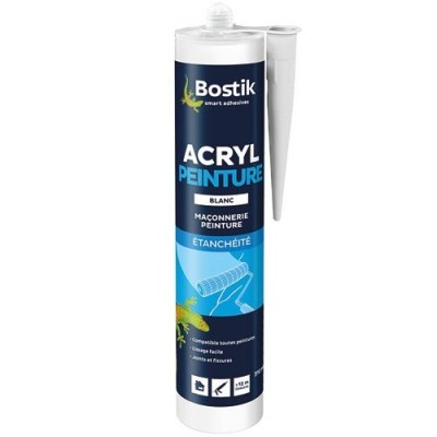 MASTIC ACRYL PEINTURE CARTOUCHE 310ML (Vendu par 1)