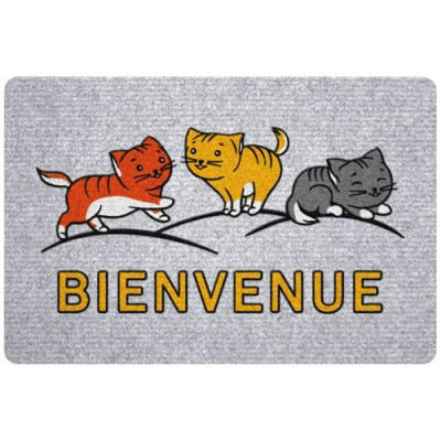 TAPIS GREYFLOCK CHATS BIENVENU 40X60CM