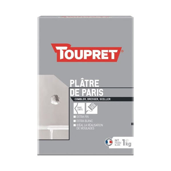 TOUPRET - Platre de paris intérieur poudre 1kg blanc