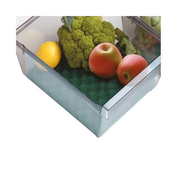 RAYEN - Base conservante pour bac à frigo 47 x 30 cm