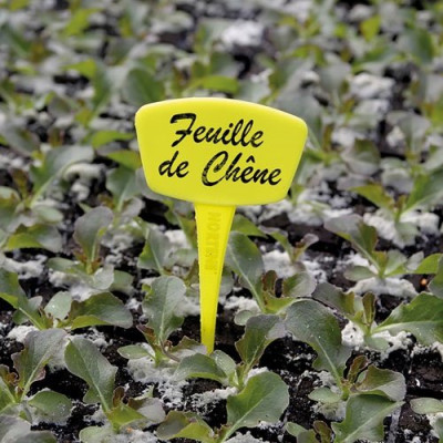 ETIQUETTE A PLANTER X 10 LABEL 15 (Vendu par 1)
