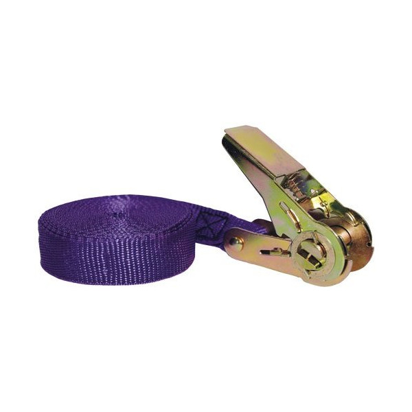 CHAPUIS - Sangle polyprolène tendeur cliquet 25mm 5m 80kg uc1