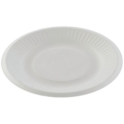 ASSIETTE CARTON BLANC 18CM X50 (Vendu par 1)