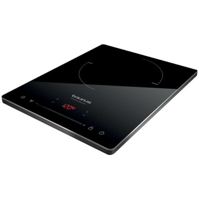 TABLE A INDUCTION POSABLE - NOMBRE DE FOYERS: 1 - DARKFIRE