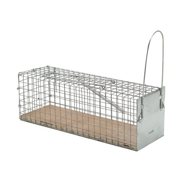 CAUSSADE - Nasse à rat socle bois