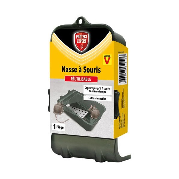 PROTECT EXPERT - Piège nasse 4 souris