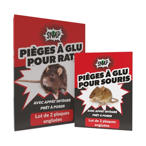 SNAP - Glu anti rats Rakao lot de 2 plaques