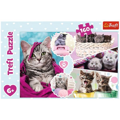 PUZZLE 160PCS ADORABLES CHATONS 6A
