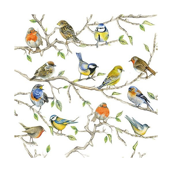 AMBIENTE - Lot 20 serviettes en papier 33 x 33 cm - Réunion d'Oiseaux