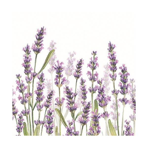 AMBIENTE - Lot 20 serviettes en papier 33 x 33 cm - Nuances de Lavande