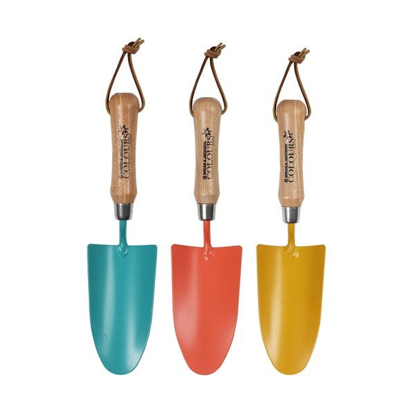 SPEAR & JACKSON - Transplantoir colours manche bois assortis