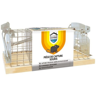 Piège de capture souris