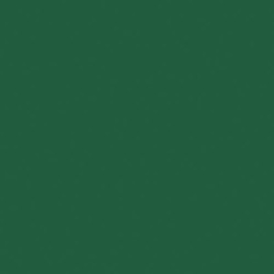 Lot 12 serviettes 40 x 40 cm Vert - Dunisoft Bio