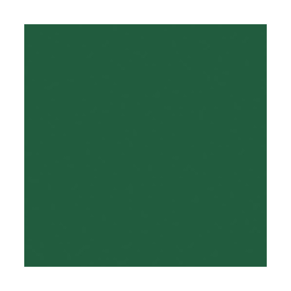 DUNI - Lot 12 serviettes 40 x 40 cm Vert - Dunisoft Bio