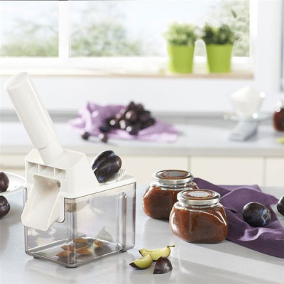 DENOYAUTEUR PRUNE        37300