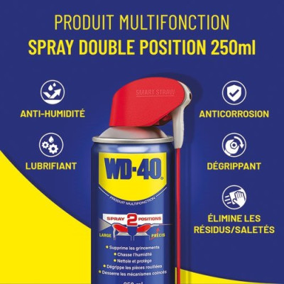 WD 40 LUBRIFIANT 250ML DOUBLE SPRAY (Vendu par 1)