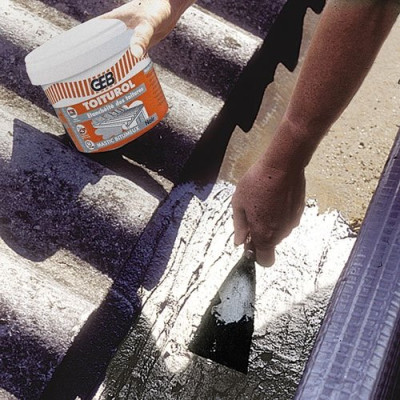 TOITUROL 400G GEB (Vendu par 1)