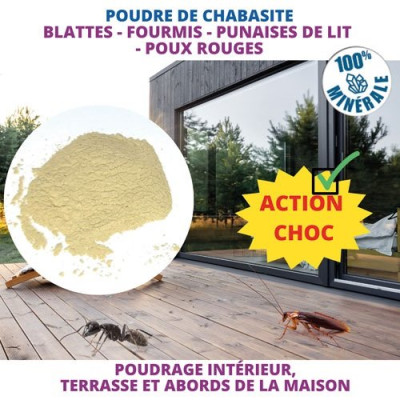 Poudre de chabasite insectes rampants 100g
