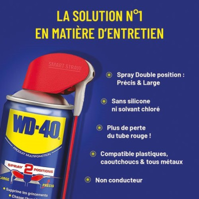 WD 40 LUBRIFIANT 250ML DOUBLE SPRAY (Vendu par 1)