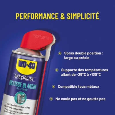 WD 40 SPECIALIST GRAISSE BLC.LITH250ML (Vendu par 1)