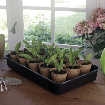 MINI SERRE RAPID GROW 38X24XH.19CM (Vendu par 1)