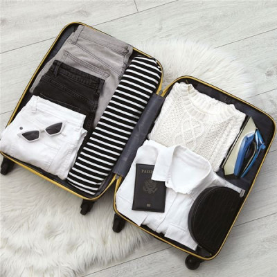 FER A REPASSER DE VOYAGE 1000W 120/240