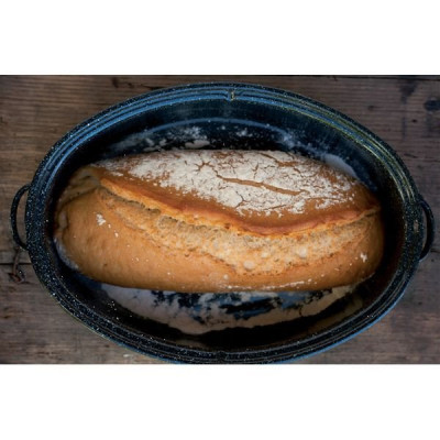 DAUBIERE ROASTER OVALE MM 38X26X16CM