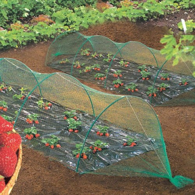 FILET PROTECTION 5MX5M (Vendu par 1)