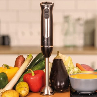 MIXEUR SPEED PIED INOX 2 LAMES