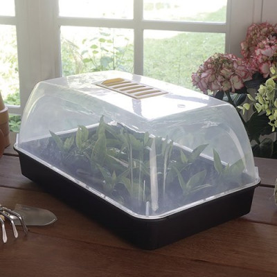 MINI SERRE RAPID GROW 38X24XH.19CM (Vendu par 1)