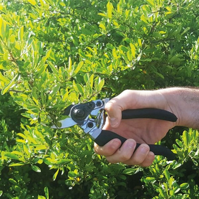 SECATEUR PROFESSIONNEL FORGE 23CM (Vendu par 1)