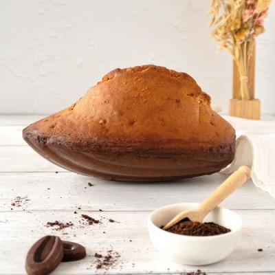 MOULE A MADELEINE XXL 25.5 X 17.5 X 4