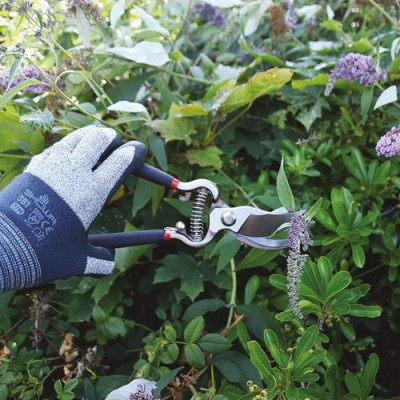 Sécateur lames forgées style vintage