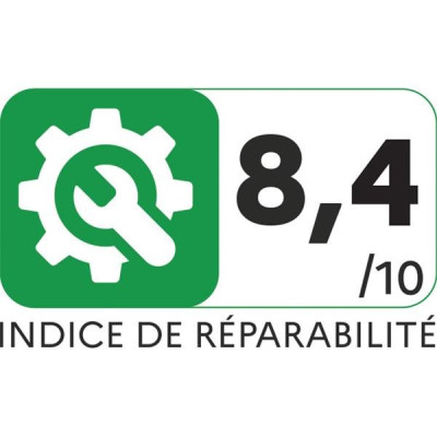 ASPIRATEUR A MAIN RECHARGEABLE POUSSIERE - AC476901 - Noir / Argent