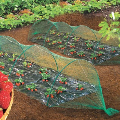 FILET PROTECTION 6MX4M (Vendu par 1)