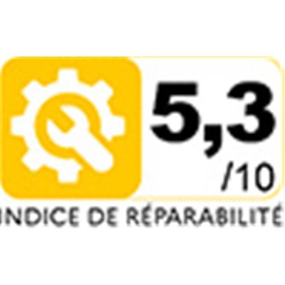 Dustbuster - A Main - Rechargeable - 3,6 V - Autonomie 8 min - Bleu