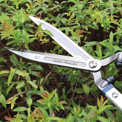 CISAILLE A HAIE PROFESSIONNELLE 60CM (Vendu par 1)