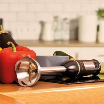 MIXEUR SPEED PIED INOX 2 LAMES