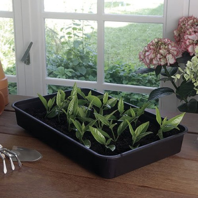 MINI SERRE RAPID GROW 38X24XH.19CM (Vendu par 1)