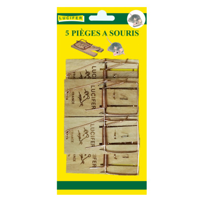 Pièges à Souris x5 Socle Bois sur carte