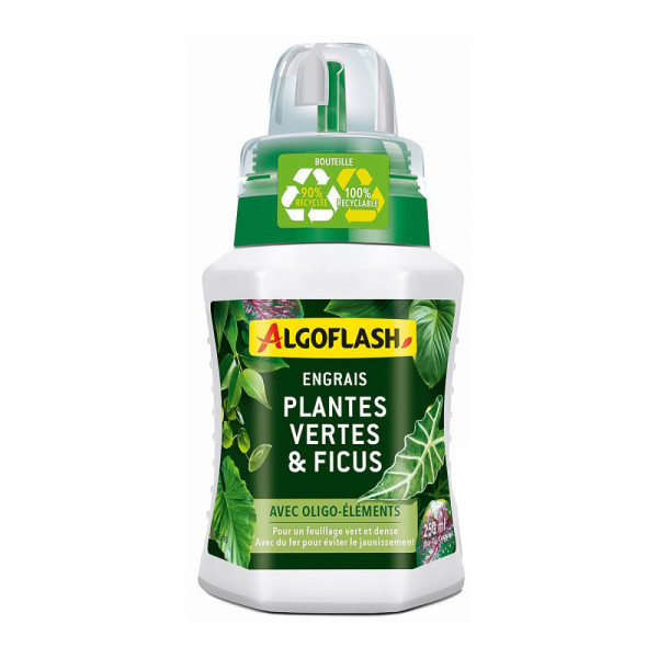 ALGOFLASH - Engrais Liquide Plantes Vertes Algoflash 250ml