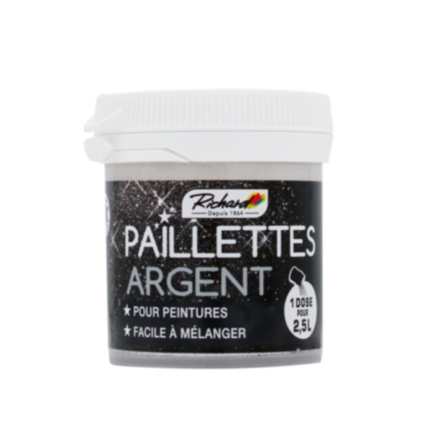 COLOR PLUS - Paillettes Pour Peinture 30 g