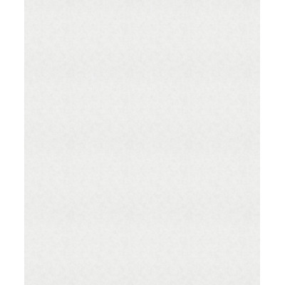 DECORAMA - 32436 - Papier Peint Intissé Micro Motif Blanc