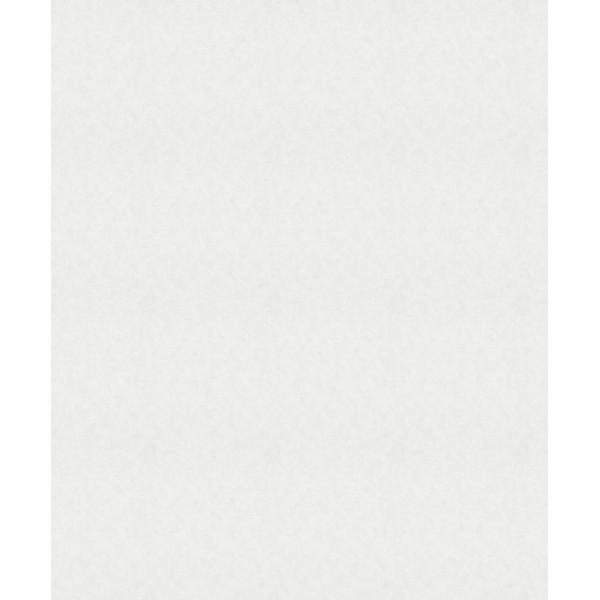 DECORAMA - 32436 - Papier Peint Intissé Micro Motif Blanc