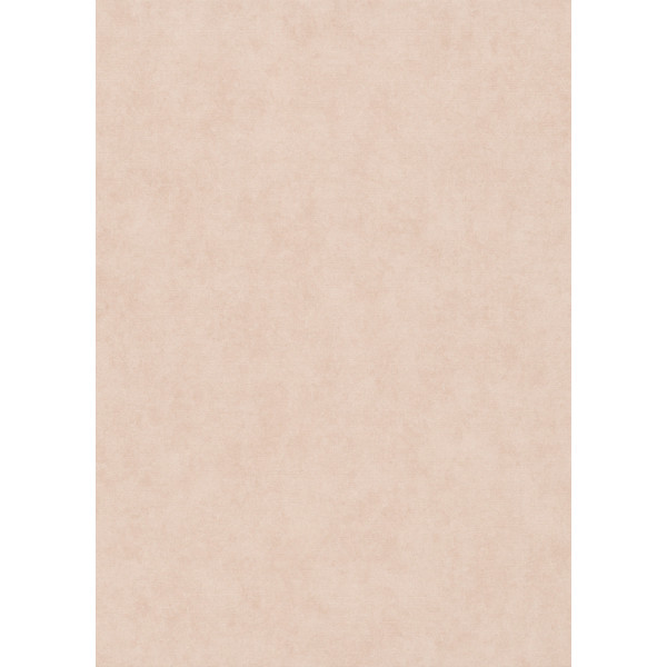 DECORAMA - 10473-05 - Papier Peint Vinyle Grainé Sur Intissé Dynamic Flow Rose