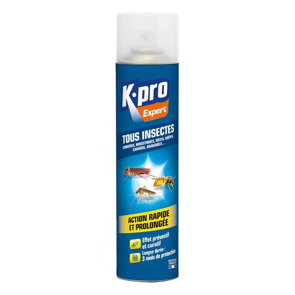 KAPO - Anti Insectes : Aérosol 300ml
