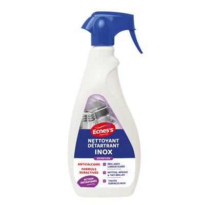 ECNESS - Nettoyant pistolet inox 750 mL